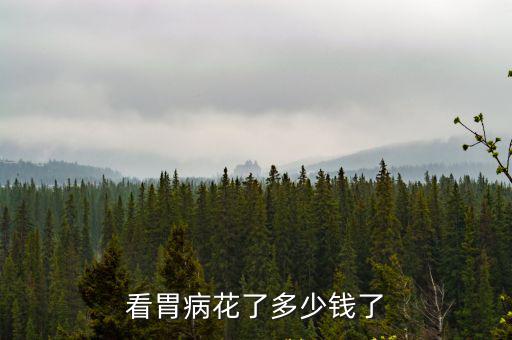 看胃病花了多少錢了