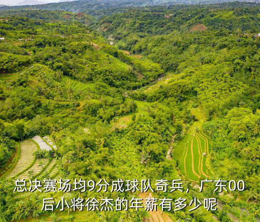 徐杰在廣東年薪是多少,他的年薪會是多少
