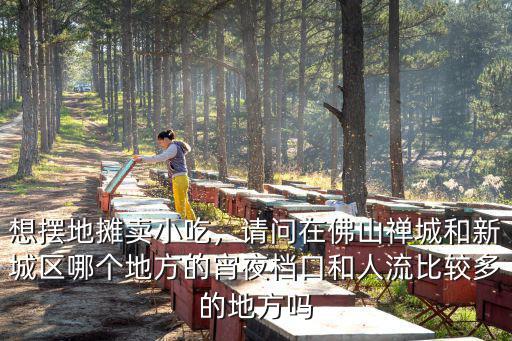 佛山哪里有擺地攤賣燒鵝的,想擺地攤賣小吃