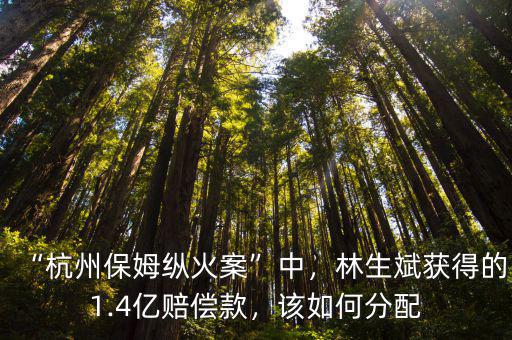 杭州保姆縱火案最后男主賠償多少,杭州縱火案男主