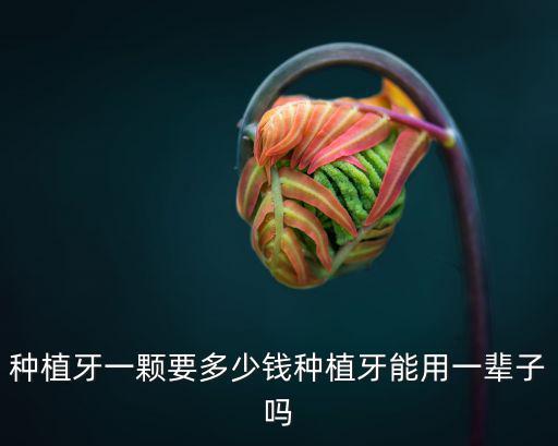 寧波種顆種植牙多少錢,種植牙一顆要多少錢