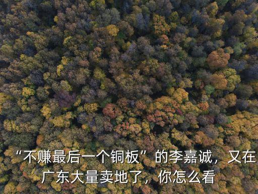 “不賺最后一個銅板”的李嘉誠，又在廣東大量賣地了，你怎么看