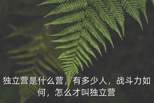 濟南軍區一個師多少人,一個集團軍多少人