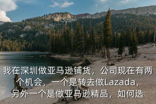 我在深圳做亞馬遜鋪貨，公司現在有兩個機會，一個是轉去做Lazada，另外一個是做亞馬遜精品，如何選