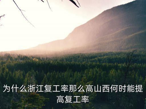為什么浙江復(fù)工率那么高山西何時(shí)能提高復(fù)工率