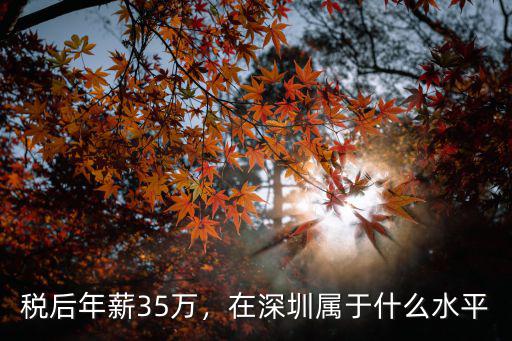 稅后年薪35萬，在深圳屬于什么水平