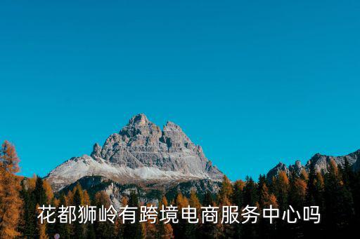 廣州花都跨境電商運營商多少錢,想做跨境電商