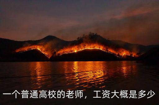 一個普通高校的老師，工資大概是多少