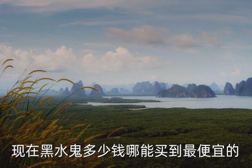 現在黑水鬼多少錢哪能買到最便宜的