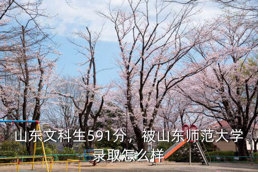 218山東師范大學錄取多少分,山東文科生591分