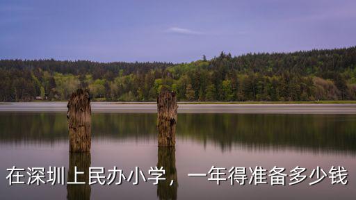 深圳教小學(xué)多少錢一個月多少錢一個月,一學(xué)期還需要繳納多少錢