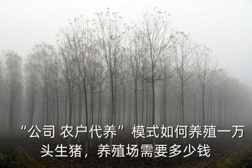 山東信德公司養殖多少生豬,養殖場需要多少錢