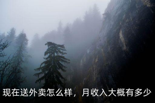 浙江小哥送外賣一個月能掙多少錢,現(xiàn)在送外賣怎么樣