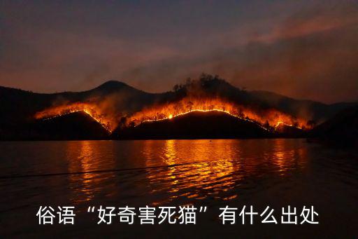 廣東好奇害死貓怎么沒有了,俗語好奇害死貓有什么出處