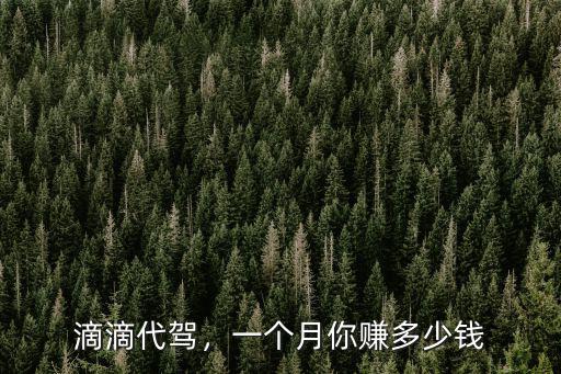 滴滴代駕，一個月你賺多少錢