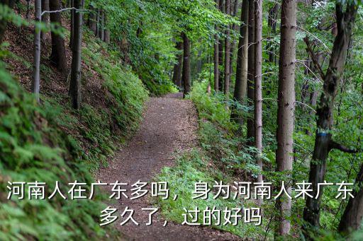 河南人去廣東旅游多少錢,身為河南人來廣東多久了