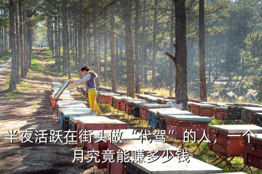 深圳做代駕能賺多少錢一個月,半夜活躍在街頭做代駕的人
