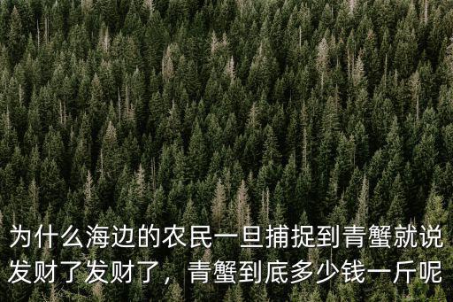 為什么海邊的農民一旦捕捉到青蟹就說發財了發財了，青蟹到底多少錢一斤呢