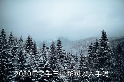 2020年二手三星s8可以入手嗎
