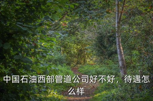 中國石油西部管道公司好不好，待遇怎么樣