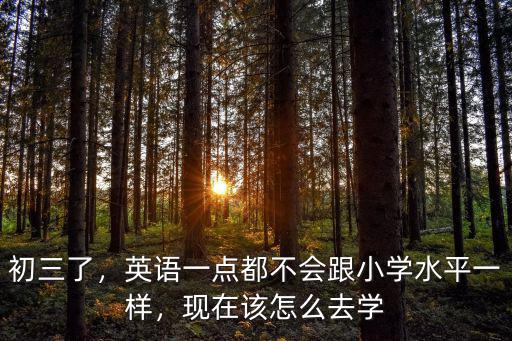 廣州初四英語怎么學好,廣州星群英語培訓