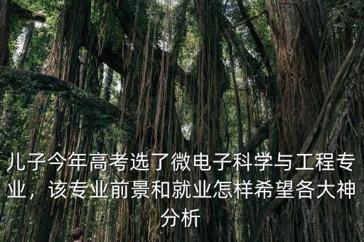 中山微電子與工程專業怎么樣,微電子工程專業考研方向怎樣