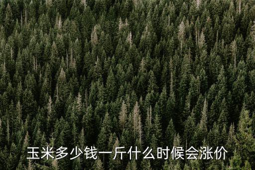 濟寧汶上今日最新玉米多少錢一斤,玉米價格多少錢一斤