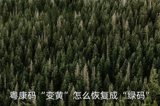 在廣東健康碼黃碼怎么恢復綠碼,寧夏健康碼變黃碼怎么辦