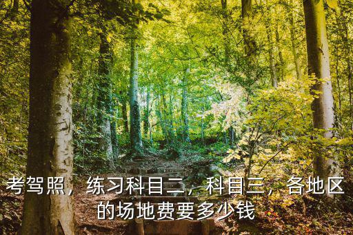 考駕照，練習(xí)科目二，科目三，各地區(qū)的場(chǎng)地費(fèi)要多少錢