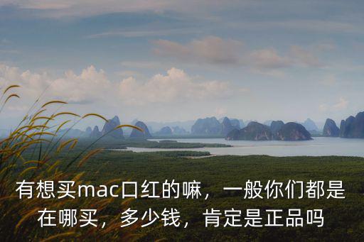 揭陽哪里可以買品牌口紅,有想買mac口紅的嘛