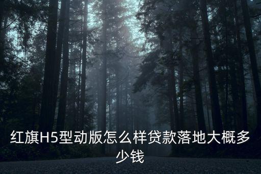 紅旗H5型動版怎么樣貸款落地大概多少錢