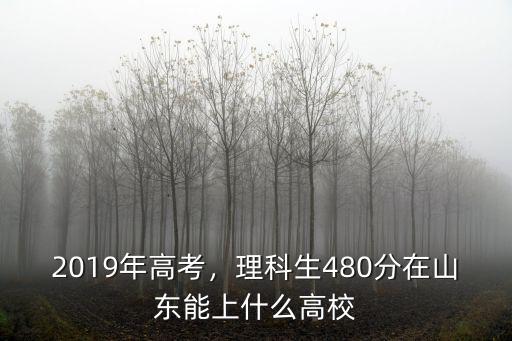 山東2019年高考多少分,2019年高考多少分能考上