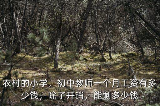 農村的小學，初中教師一個月工資有多少錢，除了開銷，能剩多少錢