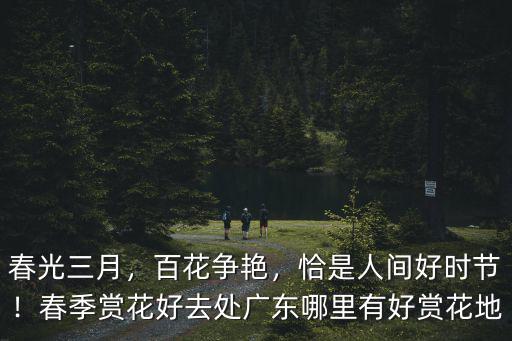 春光三月，百花爭(zhēng)艷，恰是人間好時(shí)節(jié)！春季賞花好去處廣東哪里有好賞花地