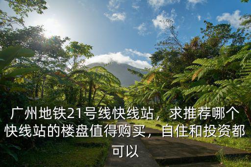 廣州地鐵21號線智慧城站在哪里,廣州21號線