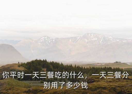 你平時(shí)一天三餐吃的什么，一天三餐分別用了多少錢