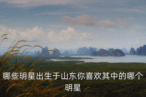 哪些明星出生于山東你喜歡其中的哪個(gè)明星