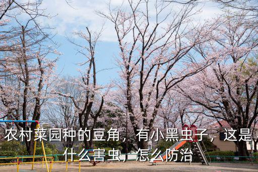 廣東黑色的小黑蟲怎么預防,夏天如何殺死小黑蟲