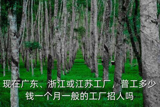 浙江羽絨服廠工資多少,浙江或江蘇工廠