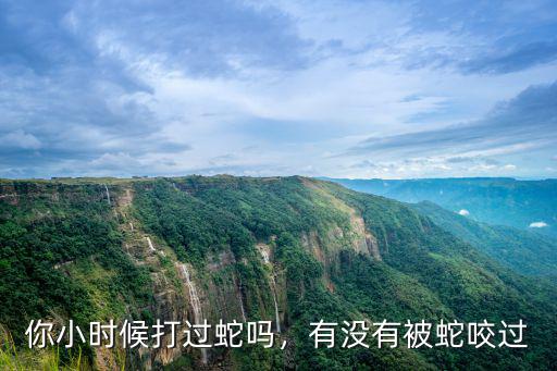 廣州市被蛇咬怎么辦,被毒蛇咬了怎么辦