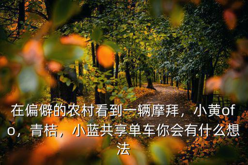 在偏僻的農村看到一輛摩拜，小黃ofo，青桔，小藍共享單車你會有什么想法