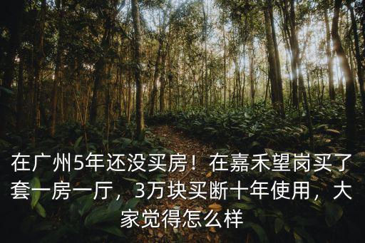 廣州嘉禾望崗哪里的房子便宜,在嘉禾望崗買了套一房一廳