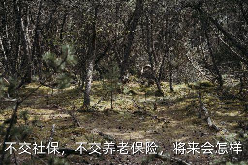 不交社保，不交養老保險，將來會怎樣