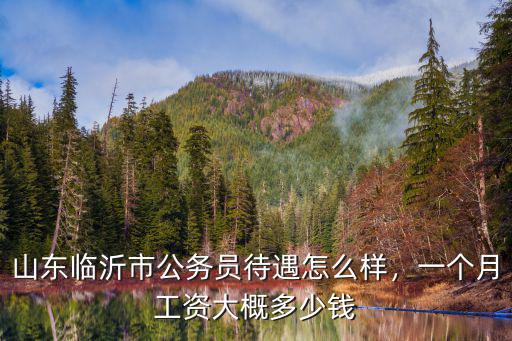 山東鎮上公務員工資多少,山東臨沂市公務員待遇怎么樣