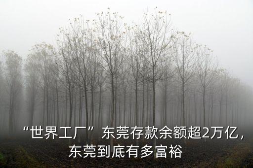 東莞企業(yè)有多少,東莞到底有多富裕