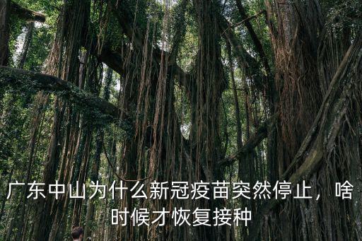 廣東中山為什么新冠疫苗突然停止，啥時候才恢復接種