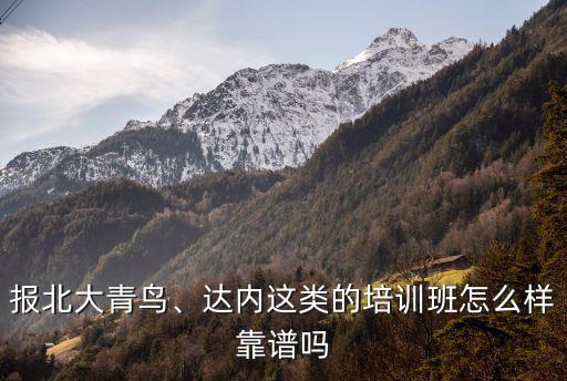 廣州北大青鳥培訓(xùn)班怎么樣,北大青鳥學(xué)校怎樣