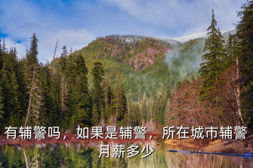 江門輔警工資有多少,輔警工資高不高