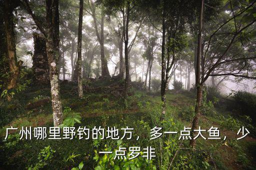 廣州哪里野釣的地方，多一點大魚，少一點羅非