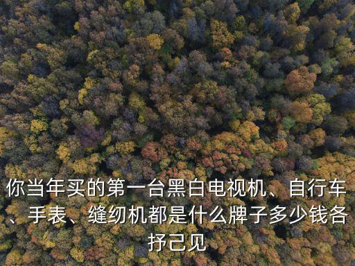 你當(dāng)年買(mǎi)的第一臺(tái)黑白電視機(jī)、自行車(chē)、手表、縫紉機(jī)都是什么牌子多少錢(qián)各抒己見(jiàn)